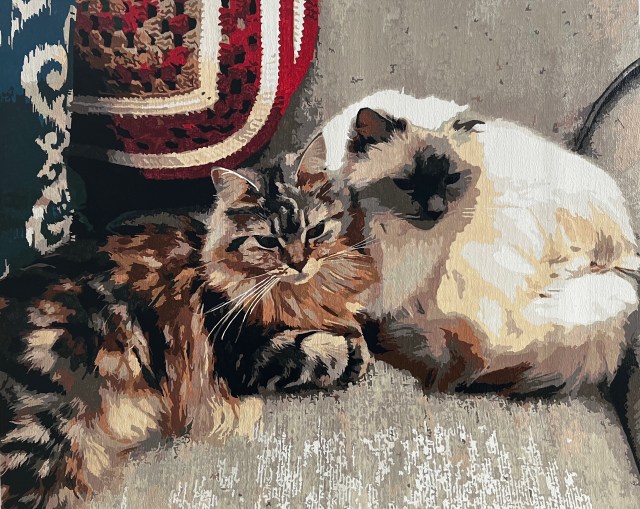 Painting of Pepper and Zazu our Maine Coon and Ragdoll cats